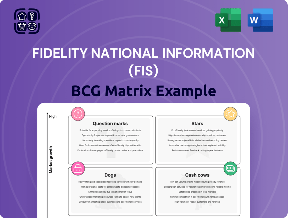 Fidelity National Information (FIS) Boston Consulting Group Matrix