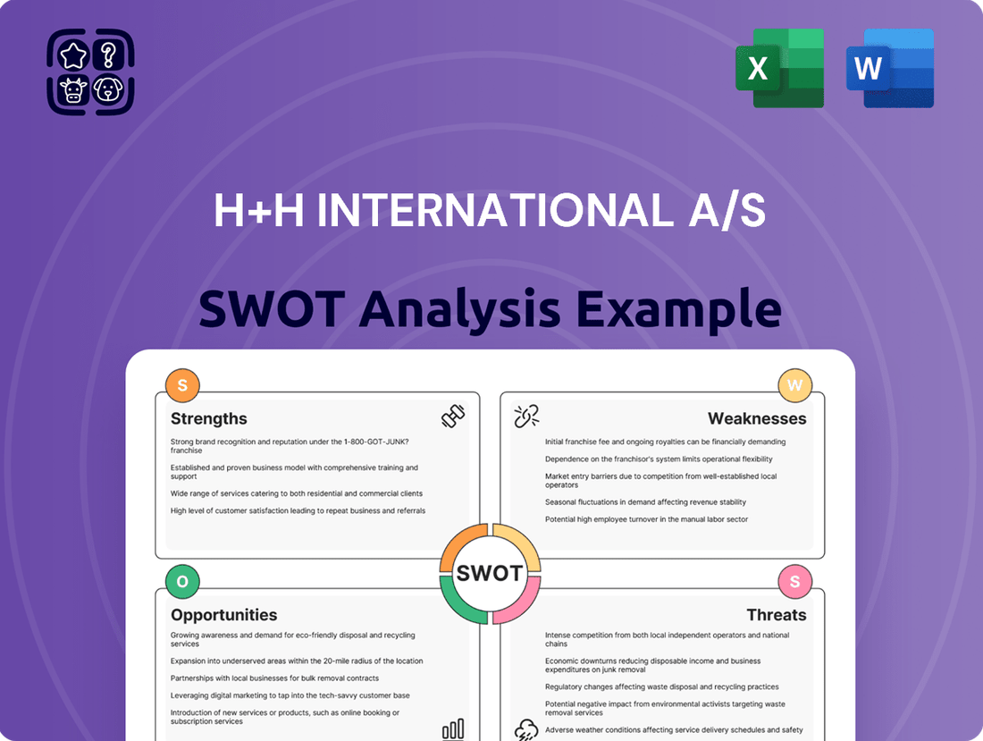 H+H International A/S SWOT Analysis