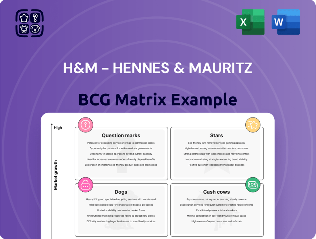 H&M - Hennes & Mauritz Boston Consulting Group Matrix