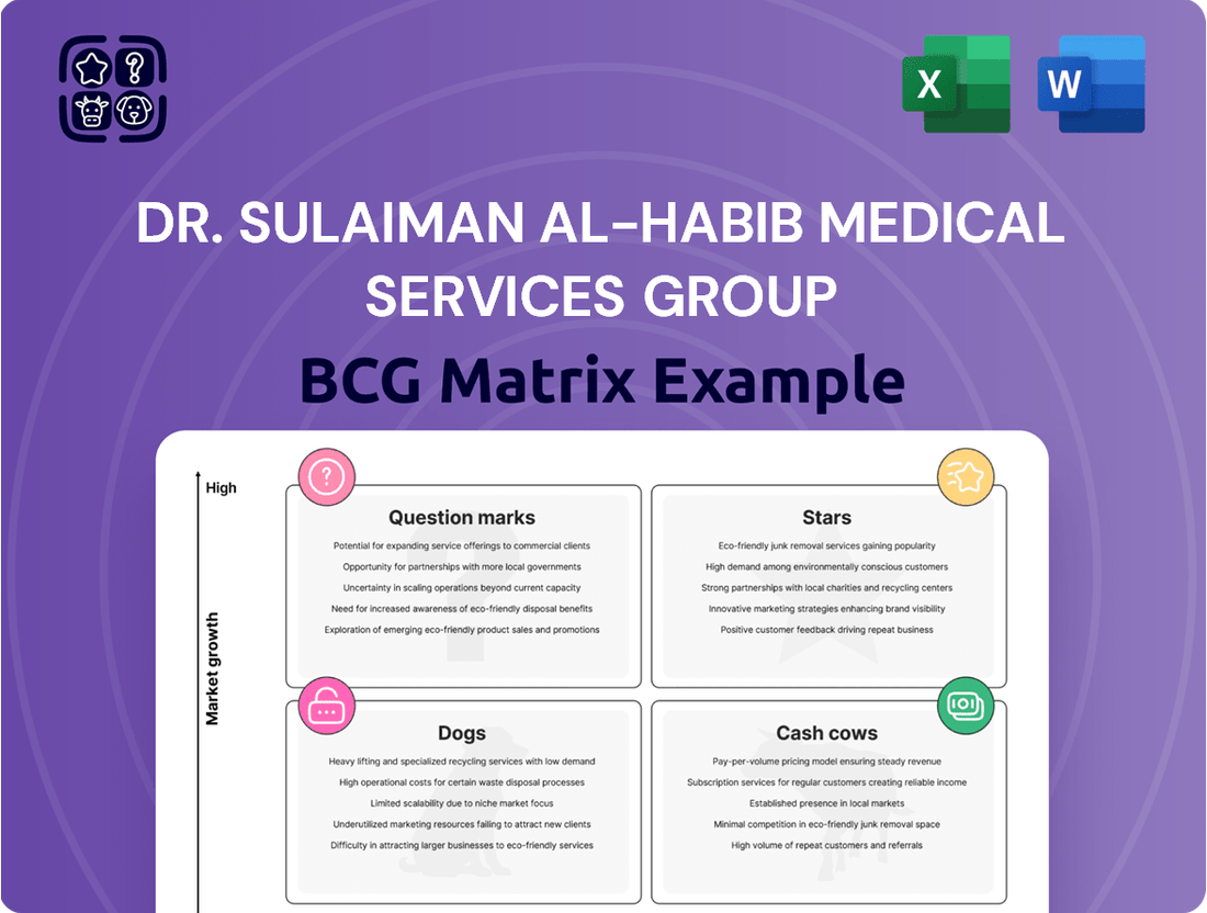 Dr. Sulaiman Al-Habib Medical Services Group Boston Consulting Group Matrix