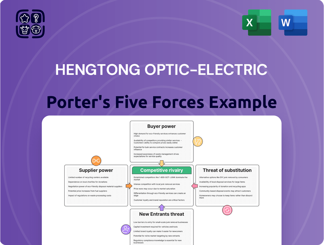 Hengtong Optic-Electric Porter's Five Forces Analysis