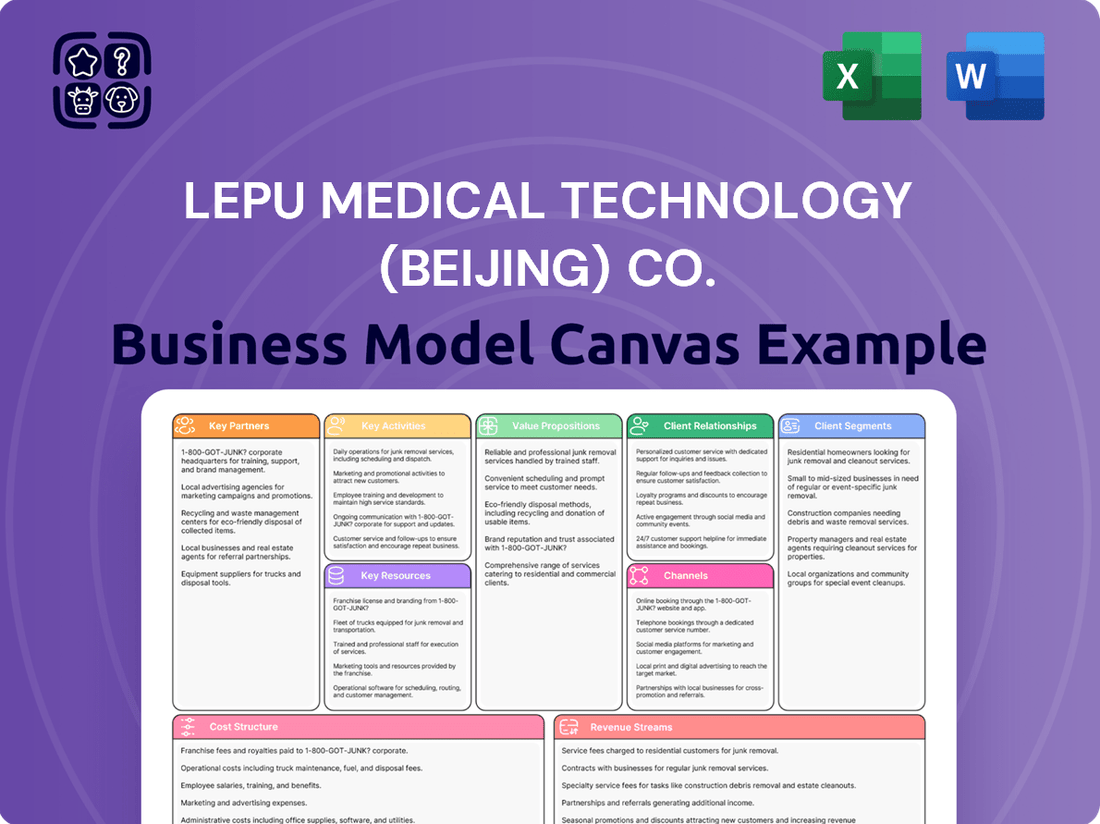 Lepu Medical Technology (Beijing) Co. Business Model Canvas