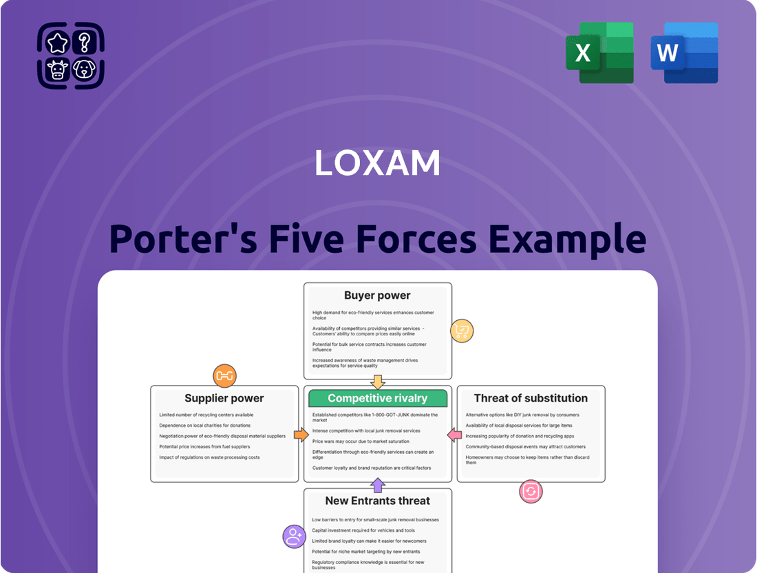 Loxam Porter's Five Forces Analysis