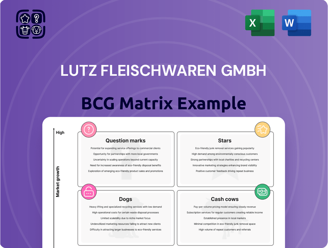 Lutz Fleischwaren GmbH Boston Consulting Group Matrix