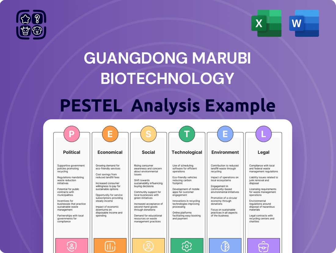 Guangdong Marubi Biotechnology PESTLE Analysis