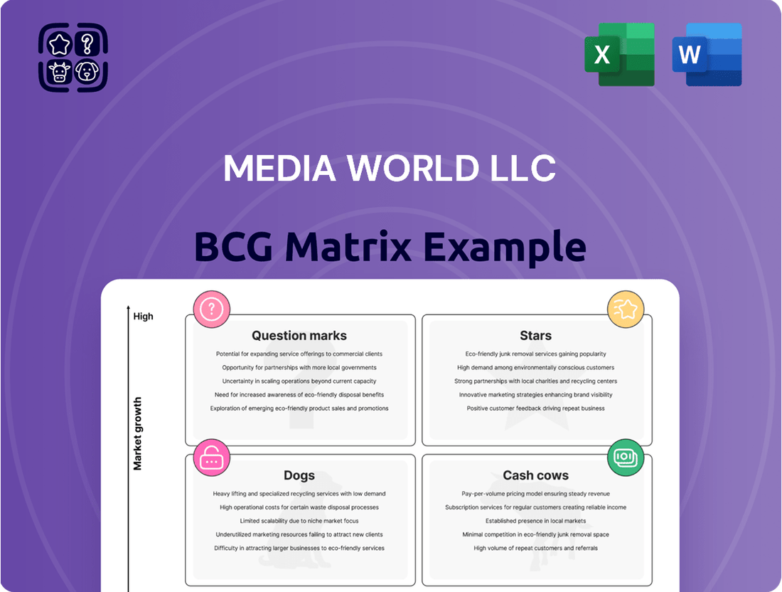 Media World LLC Boston Consulting Group Matrix