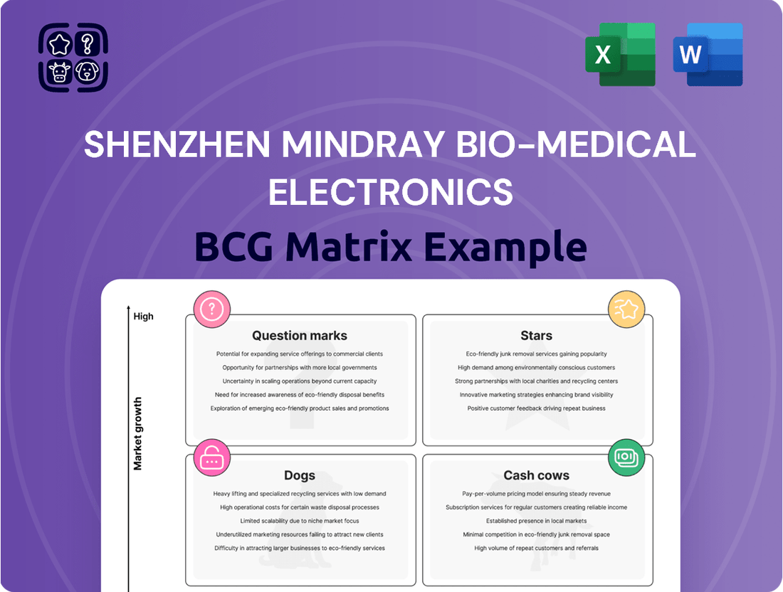Shenzhen Mindray Bio-Medical Electronics Boston Consulting Group Matrix