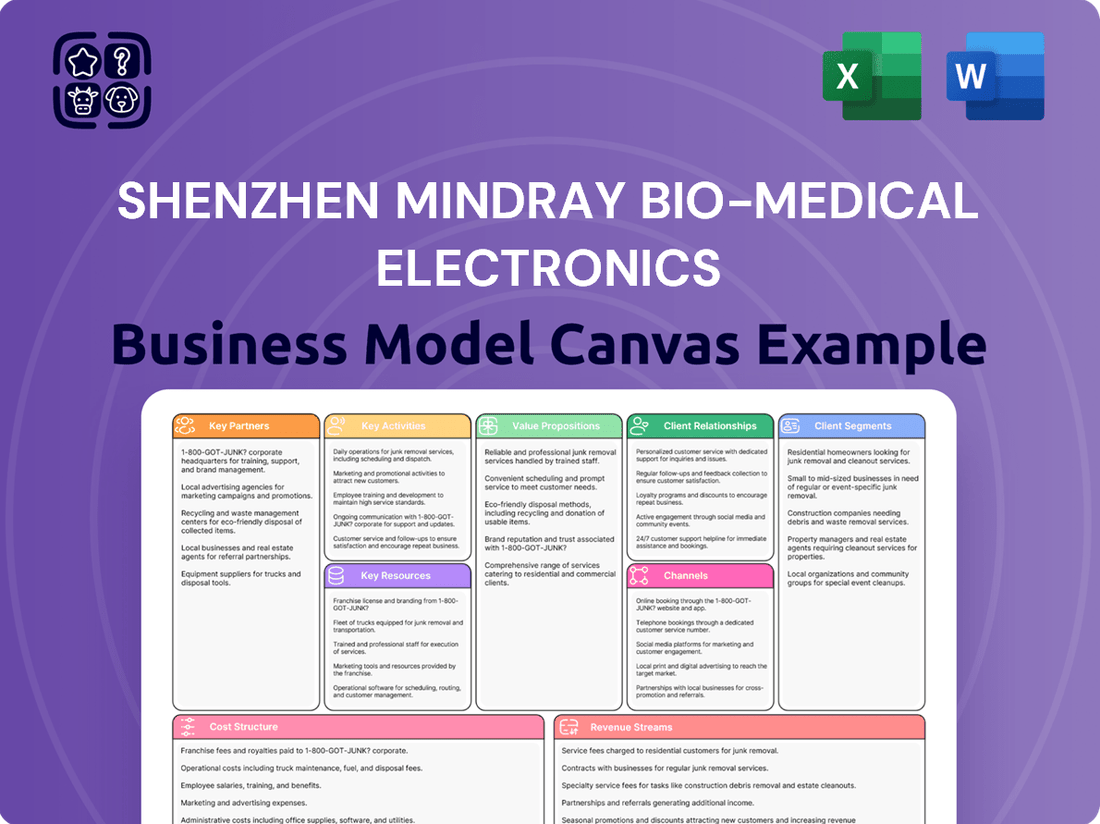 Shenzhen Mindray Bio-Medical Electronics Business Model Canvas