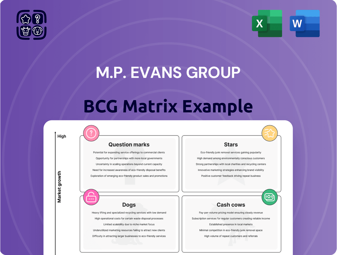 M.P. Evans Group Boston Consulting Group Matrix