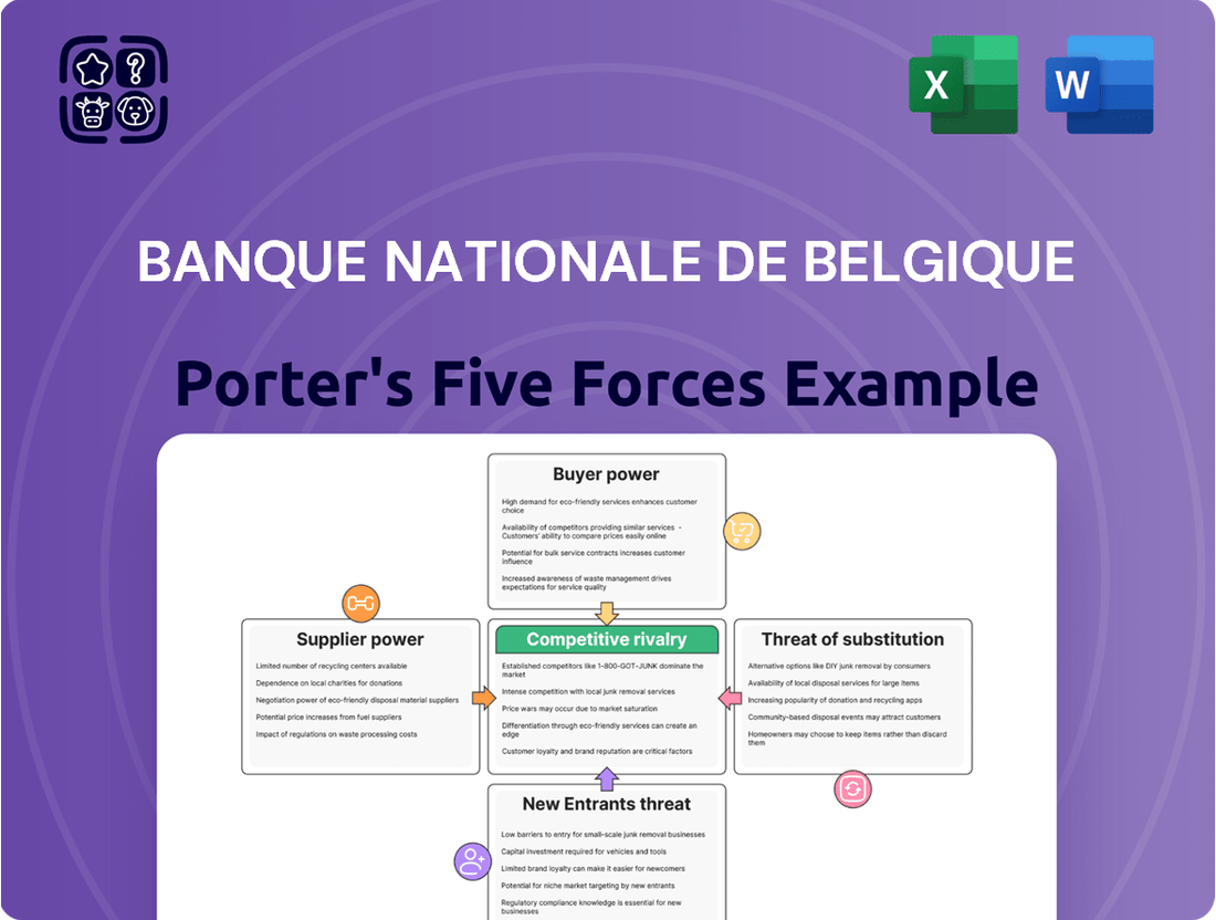 Banque nationale de Belgique Porter's Five Forces Analysis