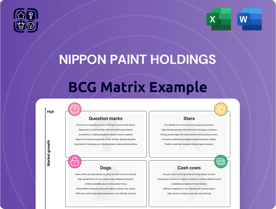Nippon Paint Holdings Boston Consulting Group Matrix