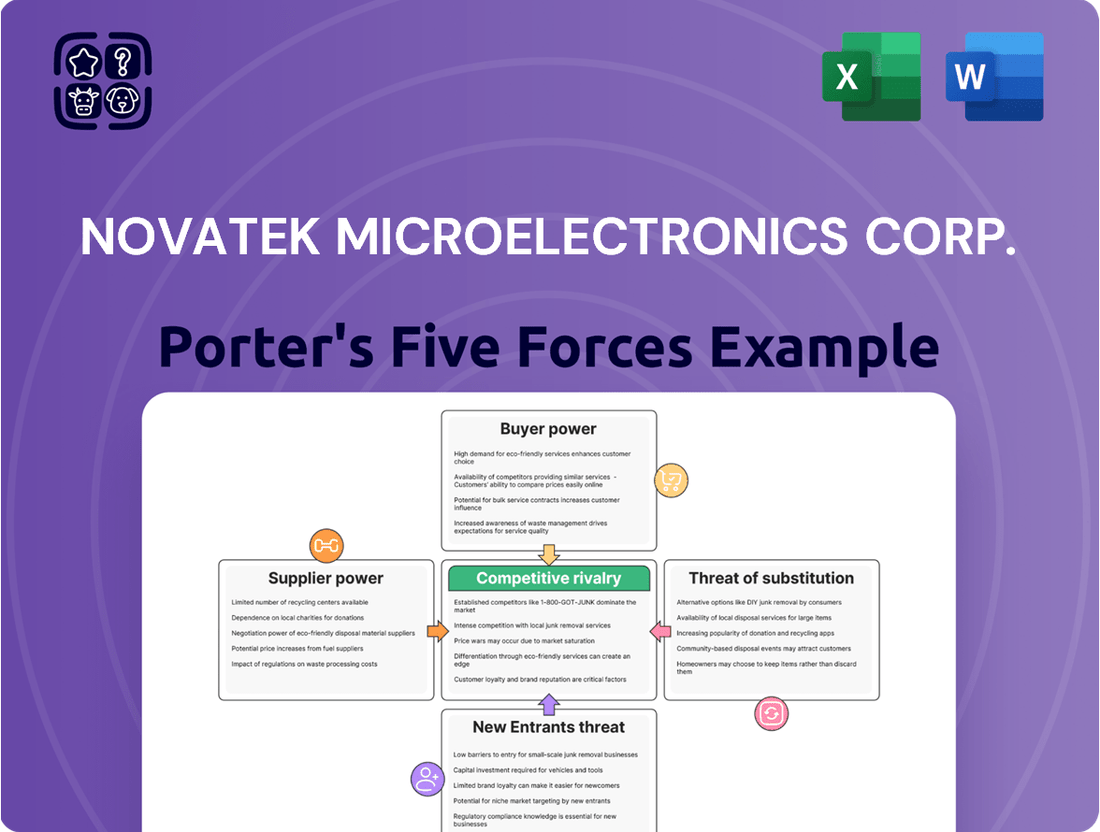 Novatek Microelectronics Corp. Porter's Five Forces Analysis