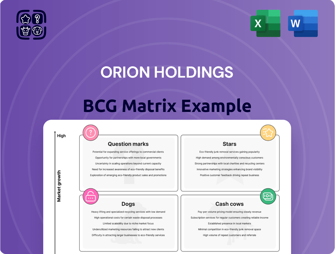 ORION Holdings Boston Consulting Group Matrix