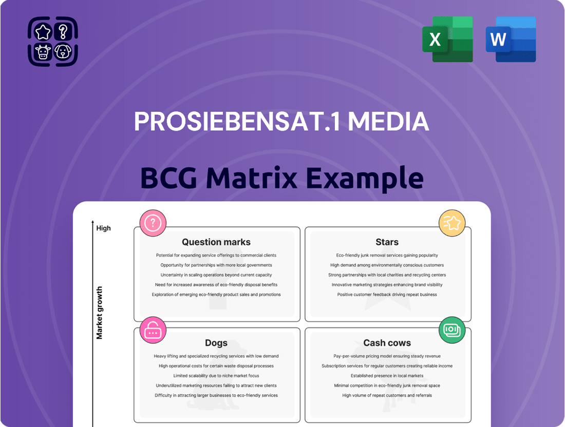 ProSiebenSat.1 Media Boston Consulting Group Matrix