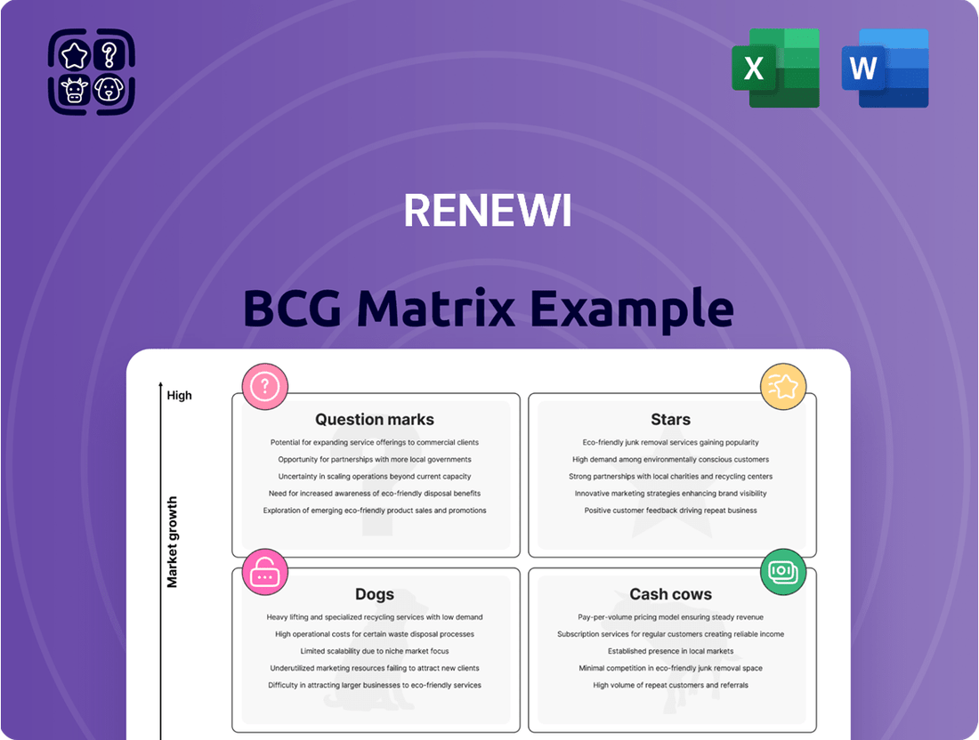 Renewi Boston Consulting Group Matrix