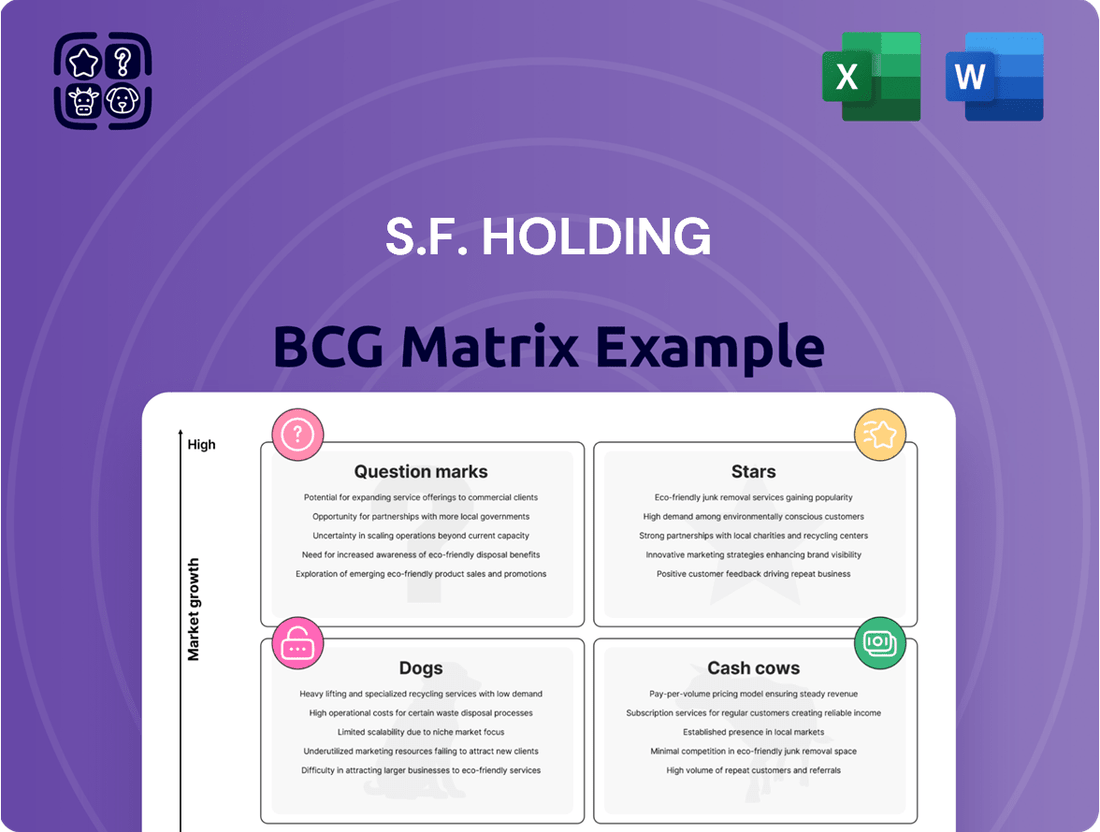 S.F. Holding Boston Consulting Group Matrix