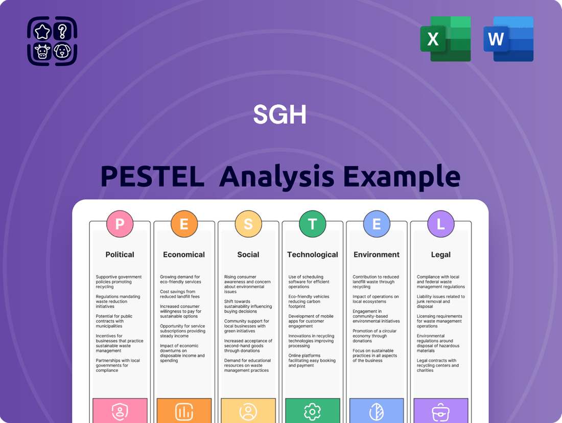 SGH PESTLE Analysis