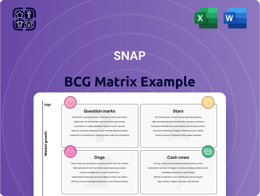 Snap Boston Consulting Group Matrix