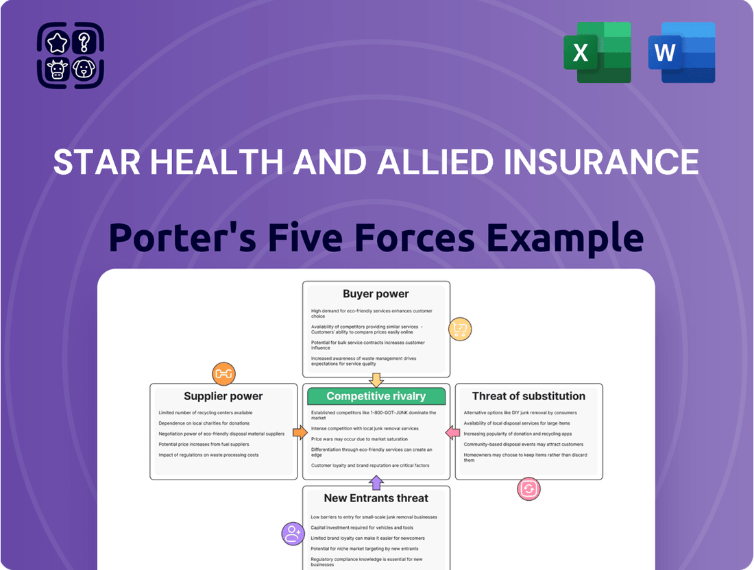 Star Health and Allied Insurance Porter's Five Forces Analysis