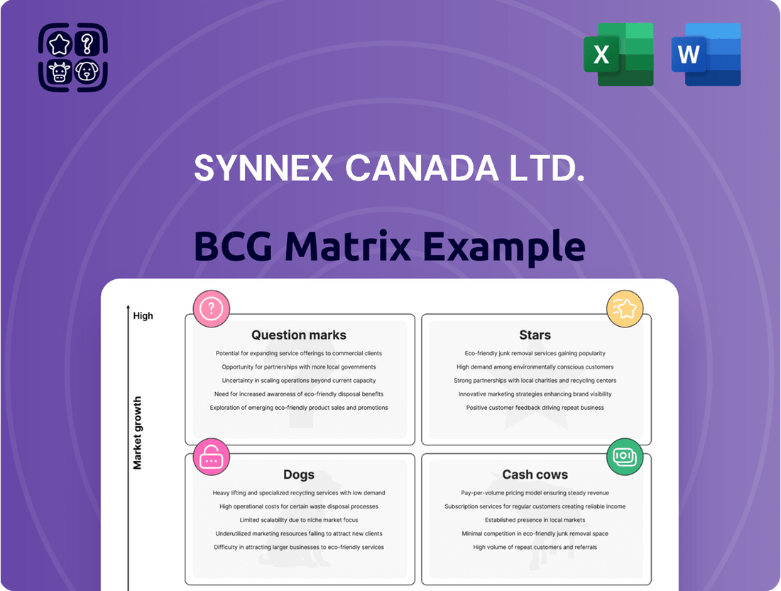 Synnex Canada Ltd. Boston Consulting Group Matrix