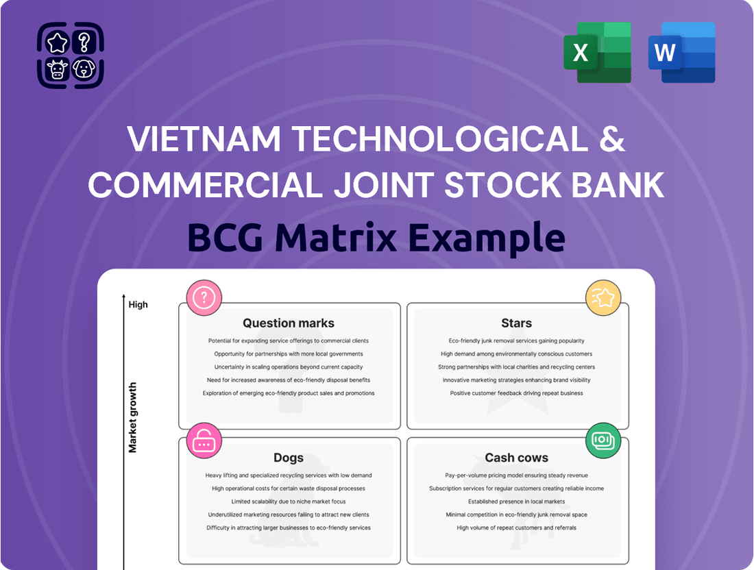 Vietnam Technological & Commercial Joint Stock Bank Boston Consulting Group Matrix