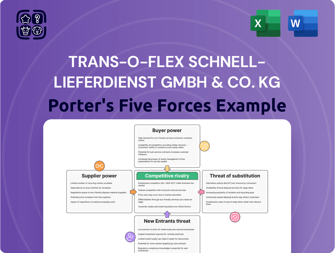 trans-o-flex Schnell-Lieferdienst GmbH & Co. KG Porter's Five Forces Analysis