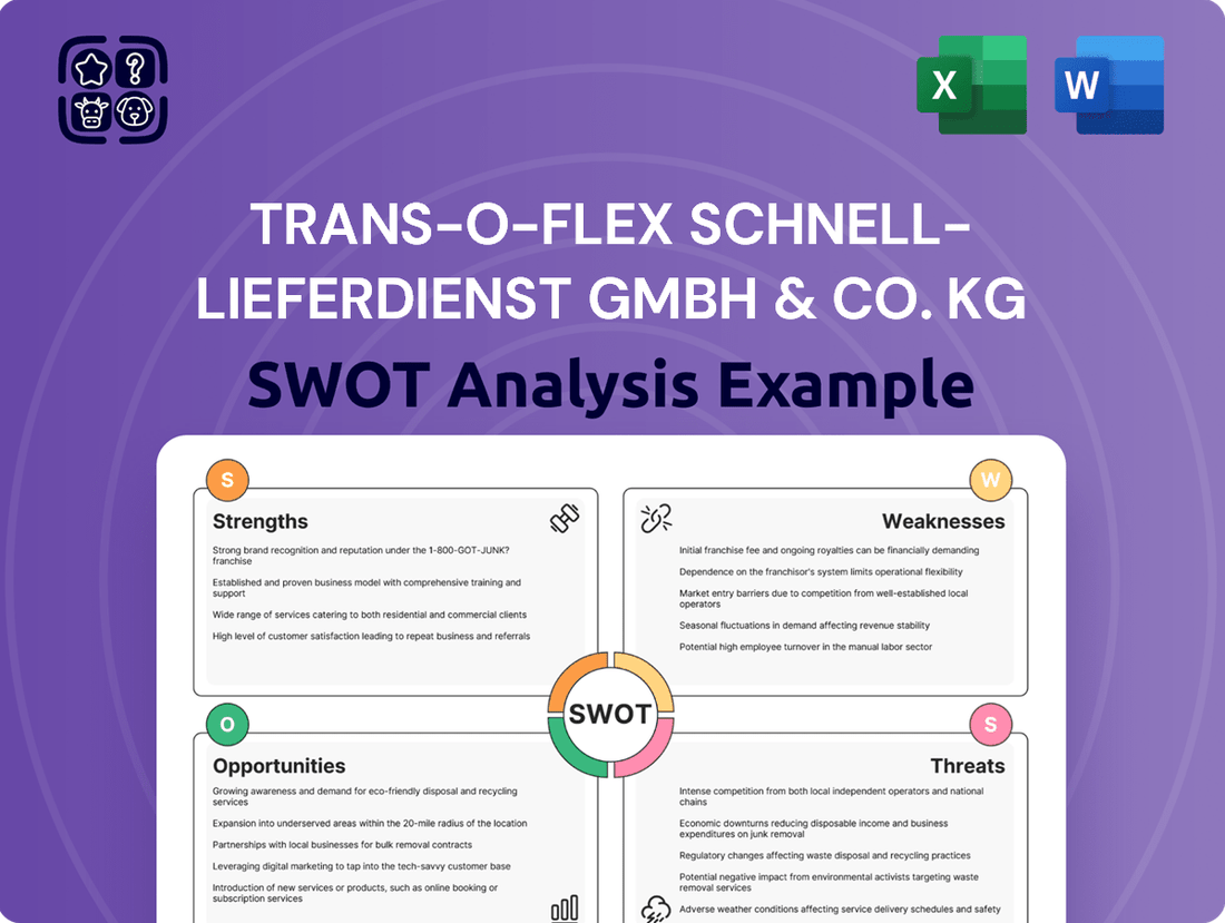 trans-o-flex Schnell-Lieferdienst GmbH & Co. KG SWOT Analysis