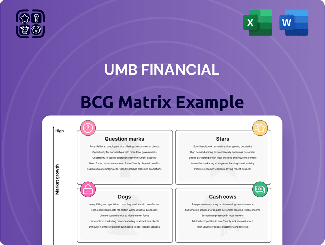 UMB Financial Boston Consulting Group Matrix