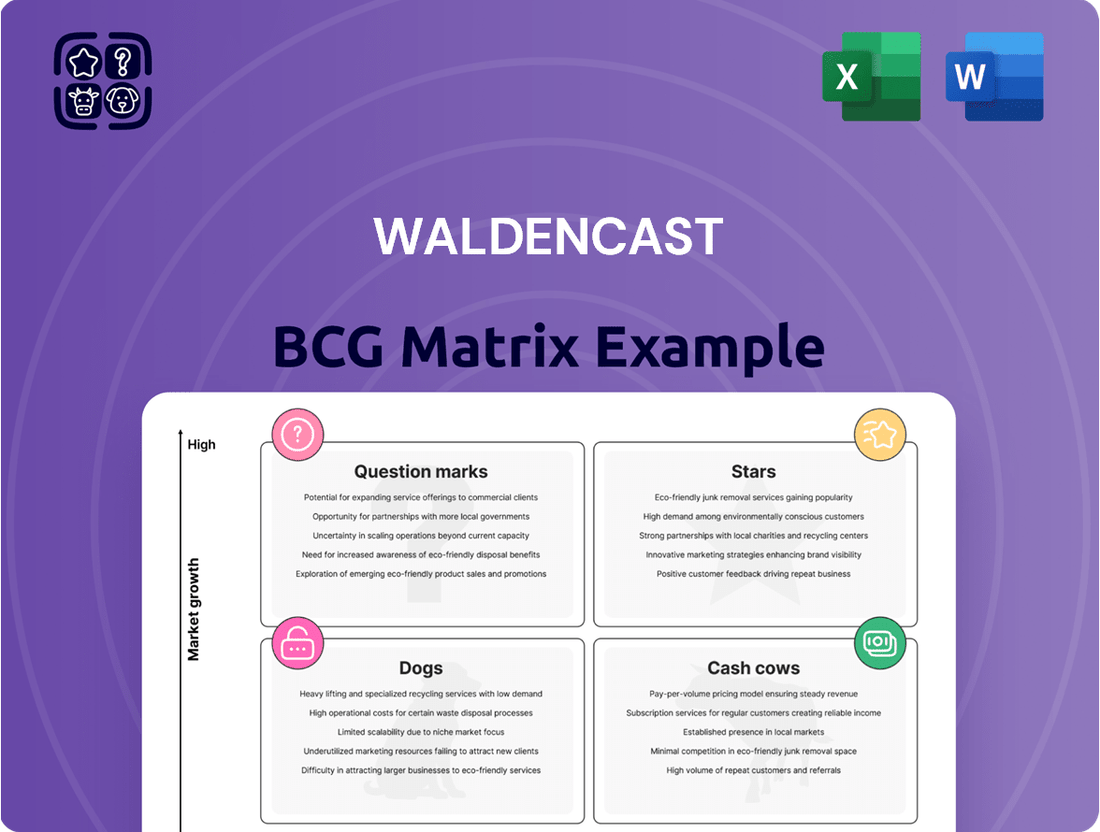 Waldencast Boston Consulting Group Matrix
